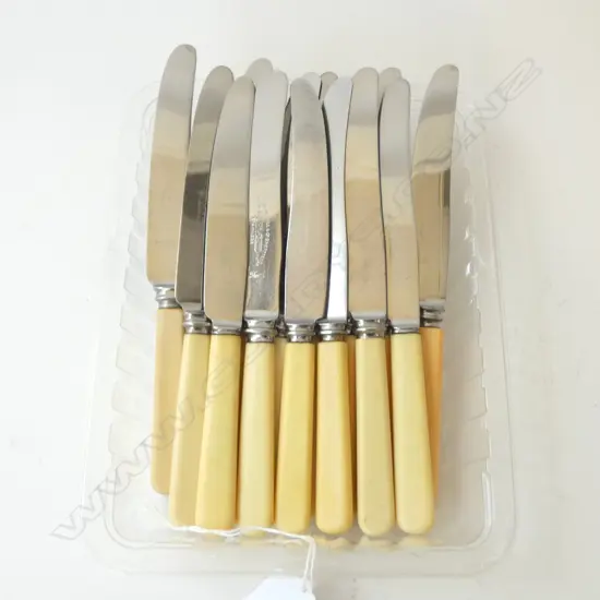 14 VINTAGE ‘BONE’ HANDLE KNIVES SHEFFIELD GOOD CONDITION, L.205MM