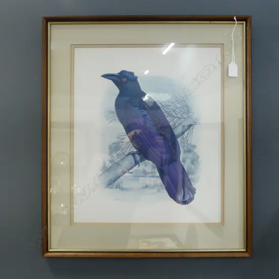 W. T. COOPER BIRD PRINT 440x370mm