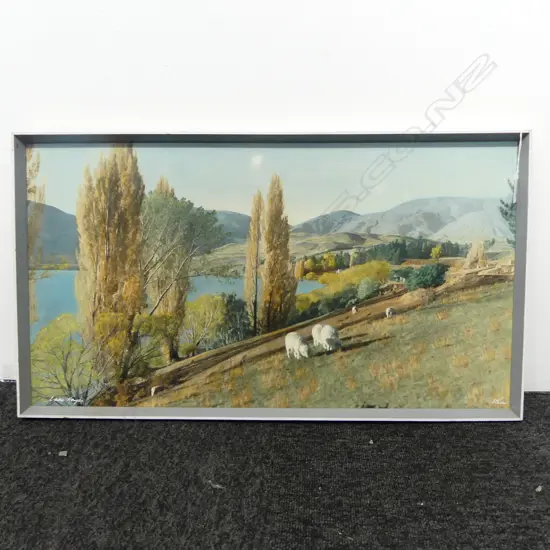 WHITES AVIATION PRINT 'LAKE HAYES' 370x680mm