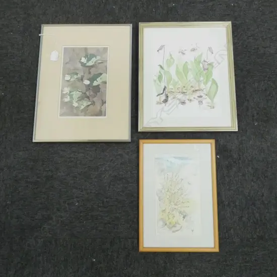 3 FLORAL WCs; 'BLOODROOT' KATHLEEN KOLB-FISHER '82 160x250mm, R W TYLER '93, SHEILA NATUSCH '88