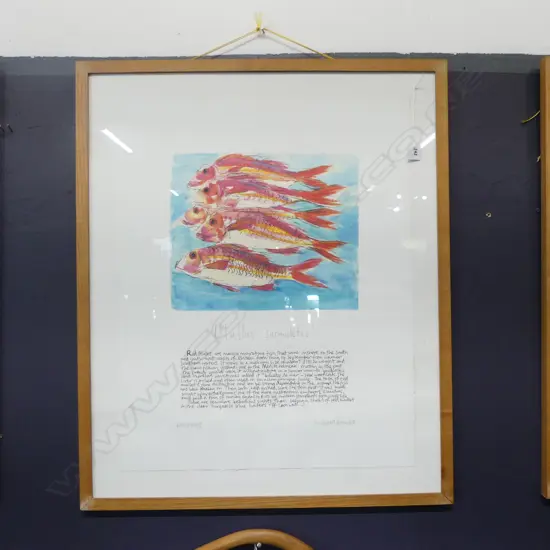 RICHARD BRAMBLE (UK b.1968) 'MULLUS SURMULETUS'  AP 730x600mm