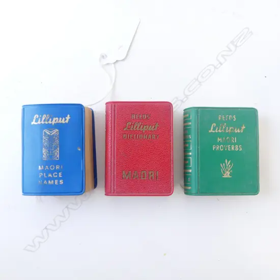 THREE VINTAGE REED'S LILLIPUT MINIATURE BOOKS; MAORI PLACE NAMES, MAORI DICTIONARY & MAORI PROVERBS, L.50mm