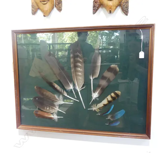 FRAMED FEATHERS 580x780mm