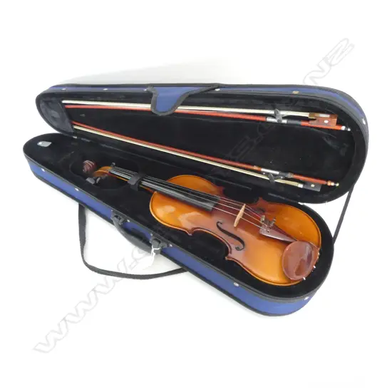 CASED VIOLIN & 2 BOWS L.800mm