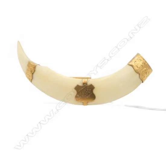 9CT TUSK BROOCH W.100mm