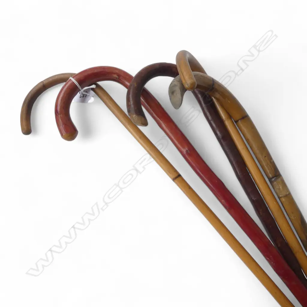 5 WALKING STICKS L.930mm Image 1++
