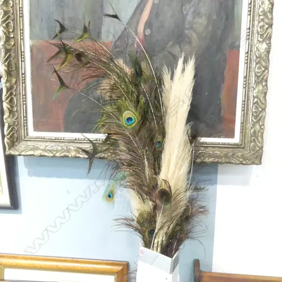 PEACOCK TAIL FEATHERS L.1600mm