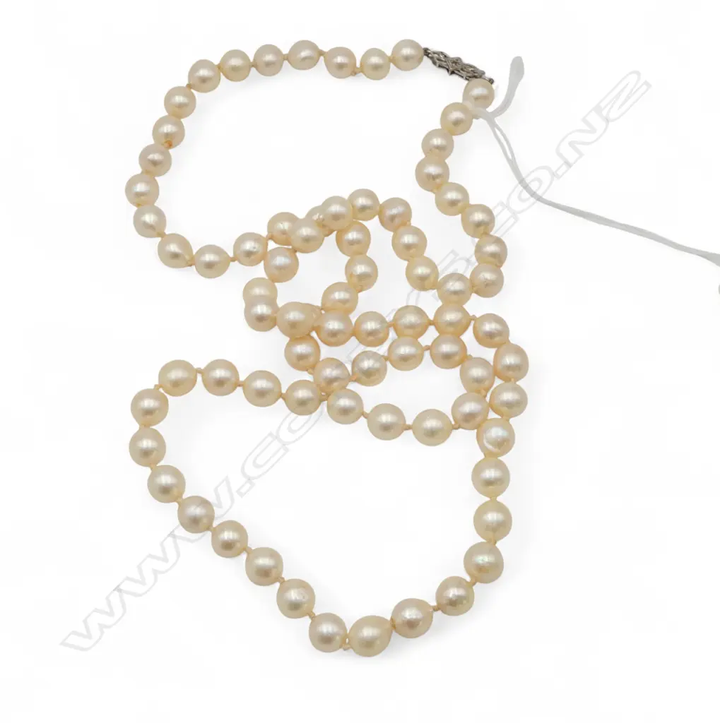 LONG LARGE CULTURED PEARL NECKLACE 720mm. silver clasp Image 1++