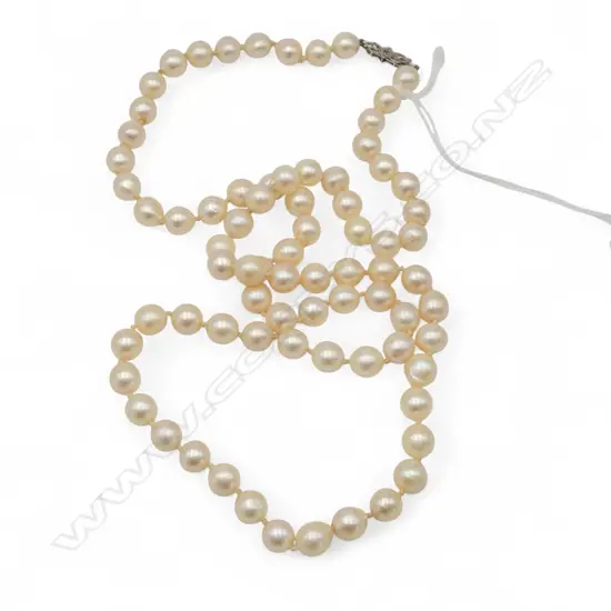 LONG LARGE CULTURED PEARL NECKLACE 720mm. silver clasp