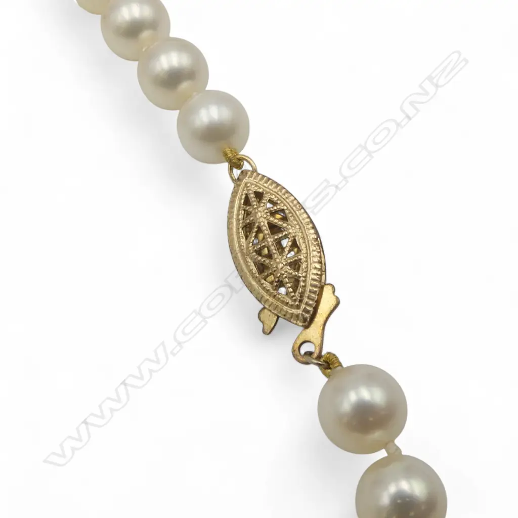 a single strand of 53 Akoya cultured pearls (silver cream tone Image 1++