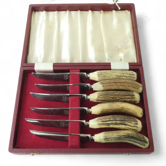  SET OF SIX BONE HANDLE KNIVES [CASED]