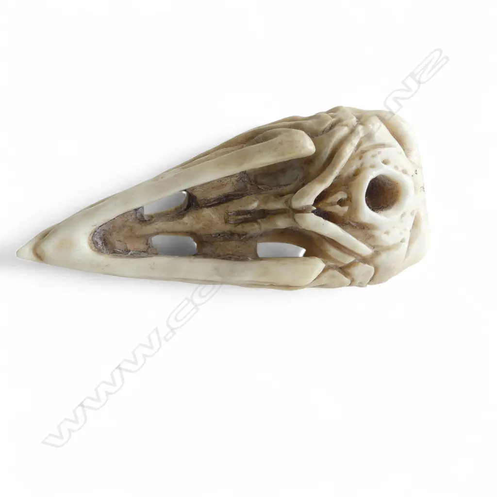 IVORY OKIMONO, RAVEN SKULL, SIGNED  Image 1++