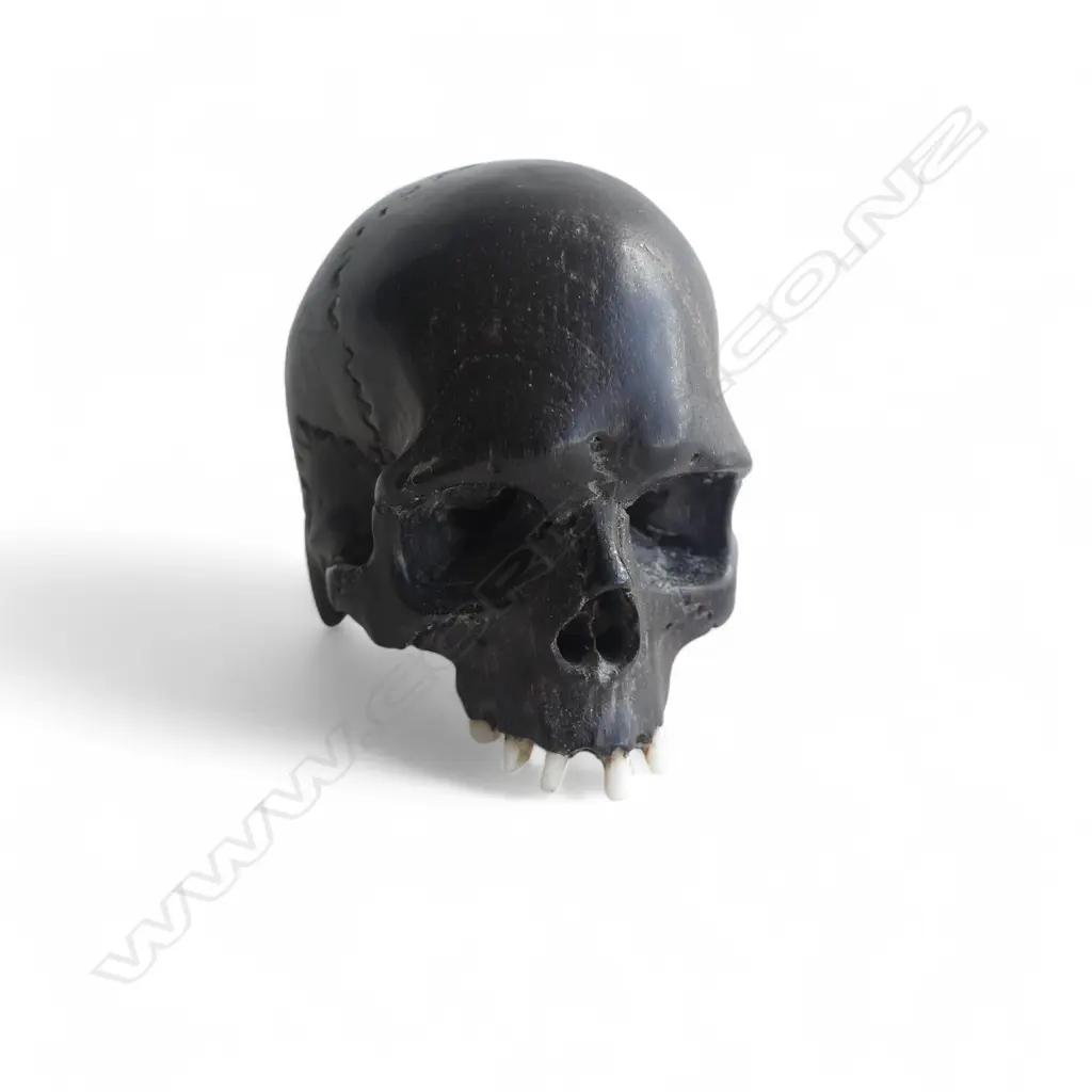 EBONISED WOOD CARVED SKULL JAPANESE OKIMONO w. BONE TEETH signed Image 1++
