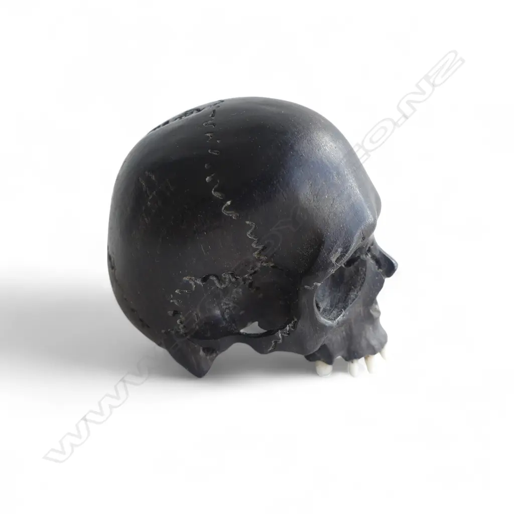 EBONISED WOOD CARVED SKULL JAPANESE OKIMONO w. BONE TEETH signed Image 1++