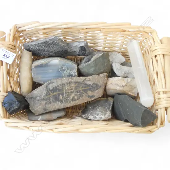 BASKET L360  12 WORLD FOSSILS & ROCKS AVERAGE LENGTH 140MM
