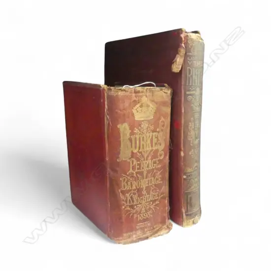 THE RHINE ILLUSTRATED + DICTIONARY OF THE PEERAGE AND BARONETAGE 