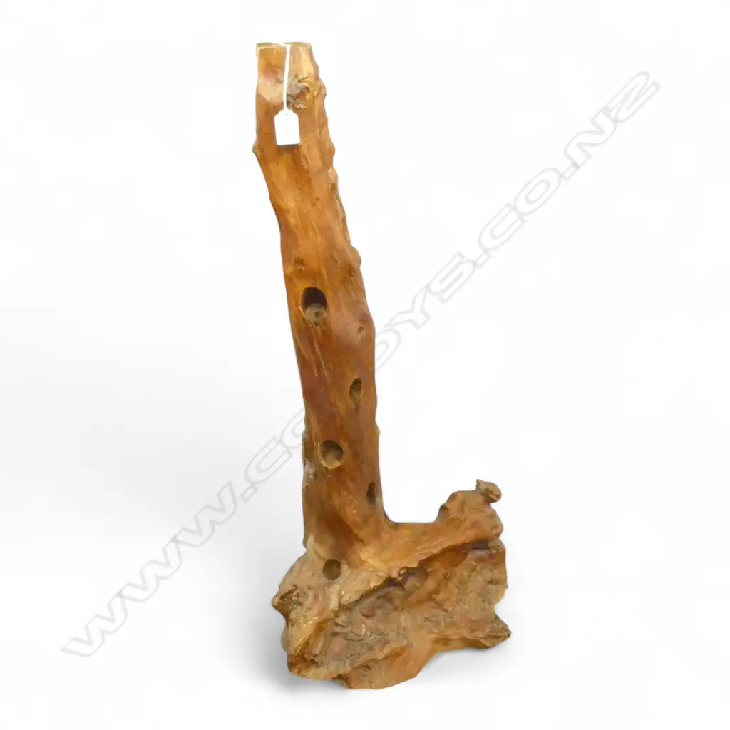 SWAMP KAURI WINE STAND H.890mm Image 1++