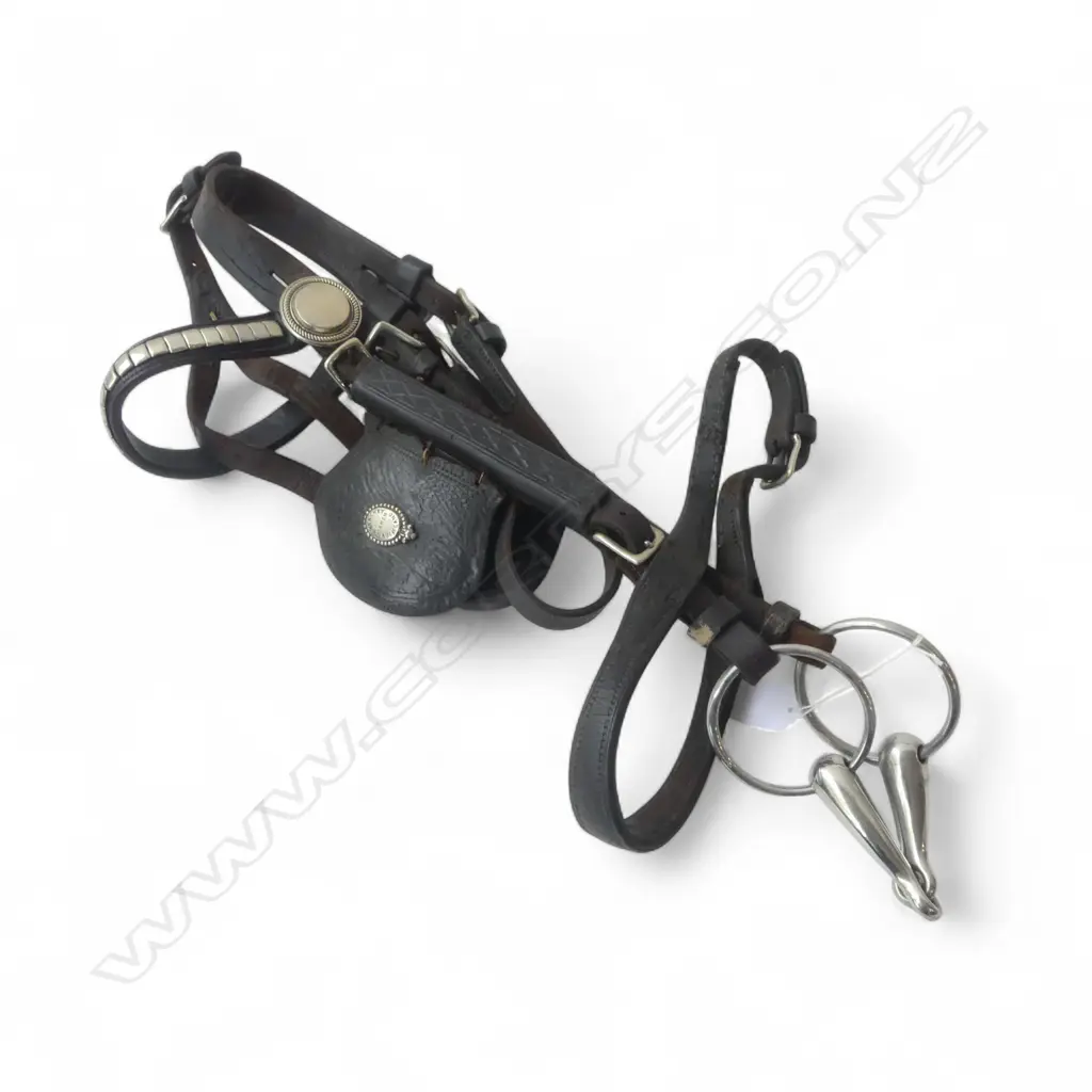 VINTAGE LEATHER & METAL PONY BLINKERS & BIT L480MM Image 1++