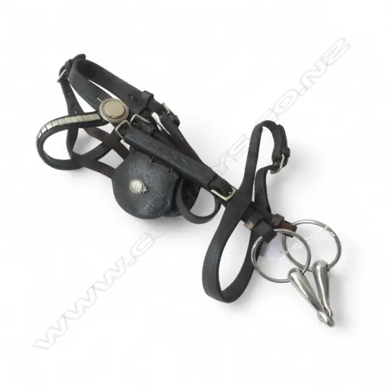 VINTAGE LEATHER & METAL PONY BLINKERS & BIT L480MM