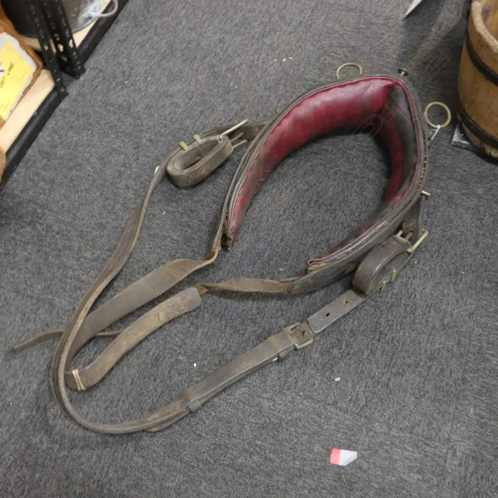 VINTAGE LEATHER DRAFTHORSE COLLAR L560MM Image 1++