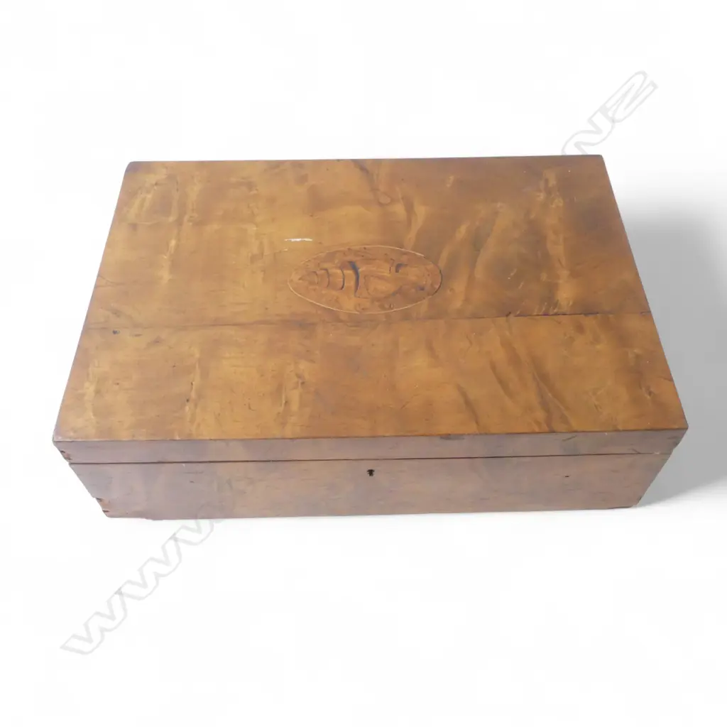 MOTTLED KAURI INLAID SHELL DESIGN DEED BOX H150 L455MM Image 1++