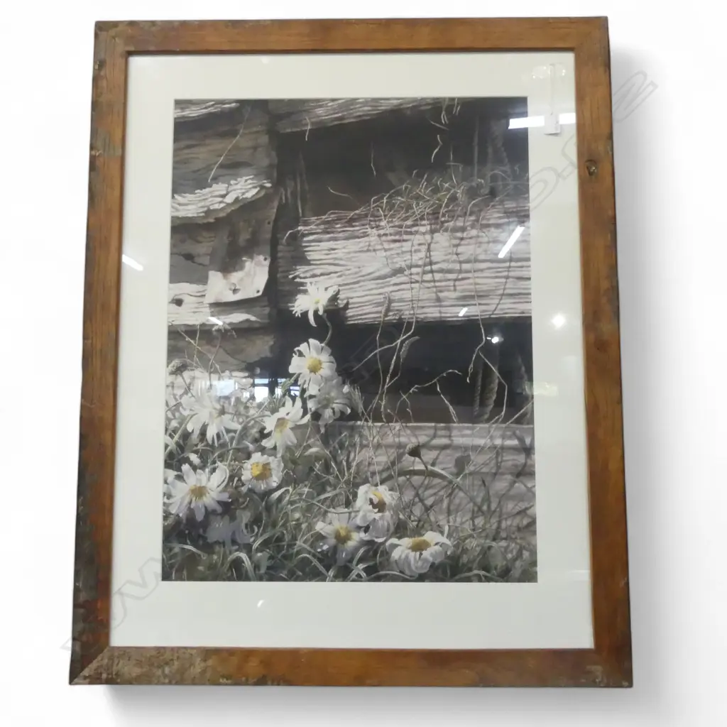 PAUL CONEY SIGNED PRINT 6/250 740x550mm Image 1++