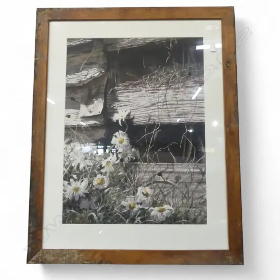 PAUL CONEY SIGNED PRINT 6/250 740x550mm