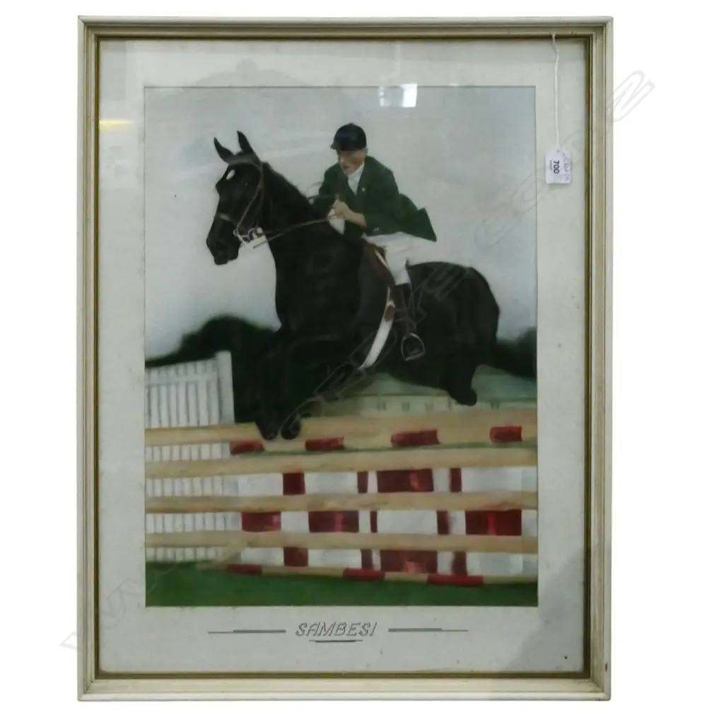 'SAMBESI' SHOW JUMPING HORSE, HAND COLOURED PHOTO PRINT 490x380mm Image 1++