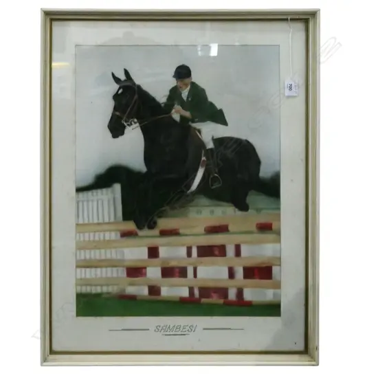 'SAMBESI' SHOW JUMPING HORSE, HAND COLOURED PHOTO PRINT 490x380mm