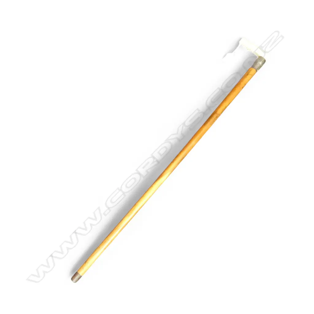 WALKING STICK w. IVORY HANDLE L.835mm Image 1++