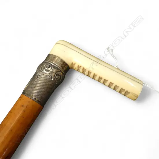WALKING STICK w. IVORY HANDLE L.835mm