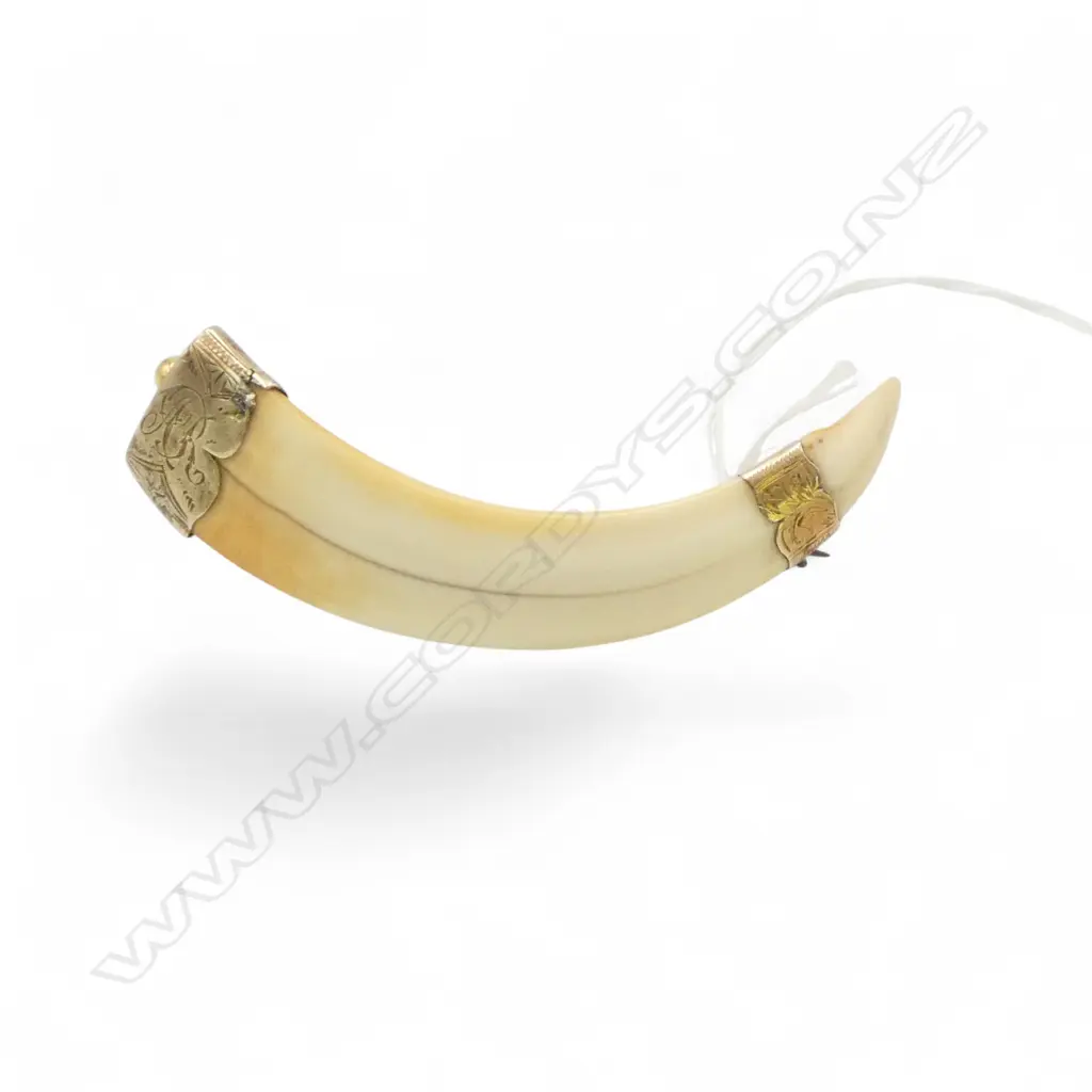 9ct GOLD TUSK BROOCH L.75mm Image 1++