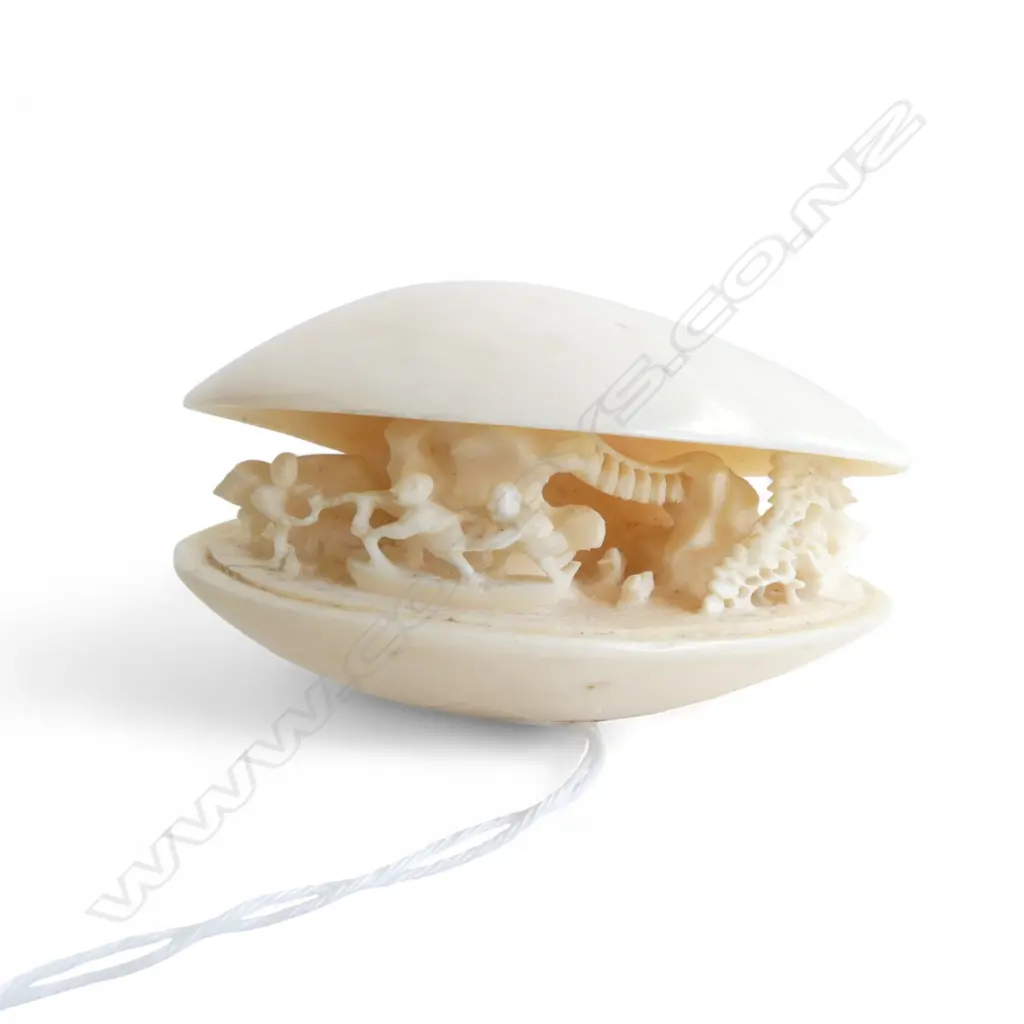 IVORY DREAM SHELL W.70mm Image 1++