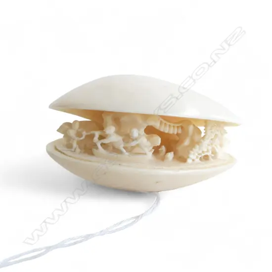 IVORY DREAM SHELL W.70mm