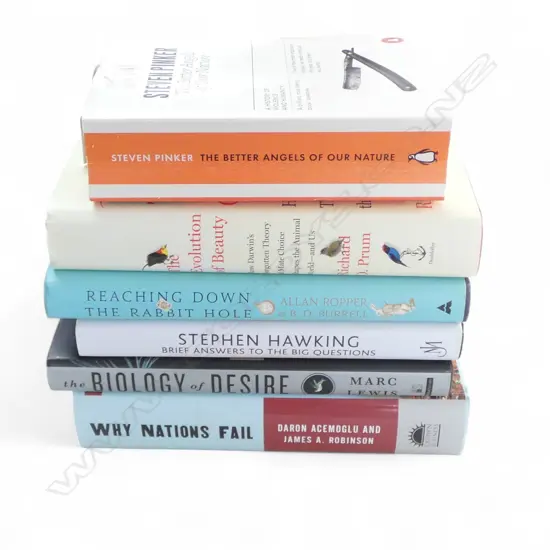 A GROUP OF NON FICTION BOOKS INCL STEPHEN HAWKING