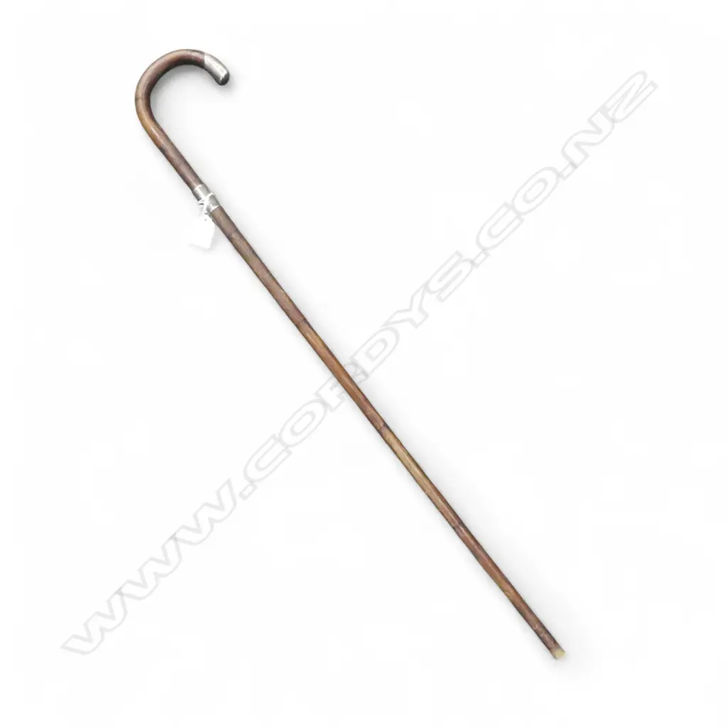 CANE WALKING STICK w. STG SILVER CAP & COLLAR L.840mm Image 1++