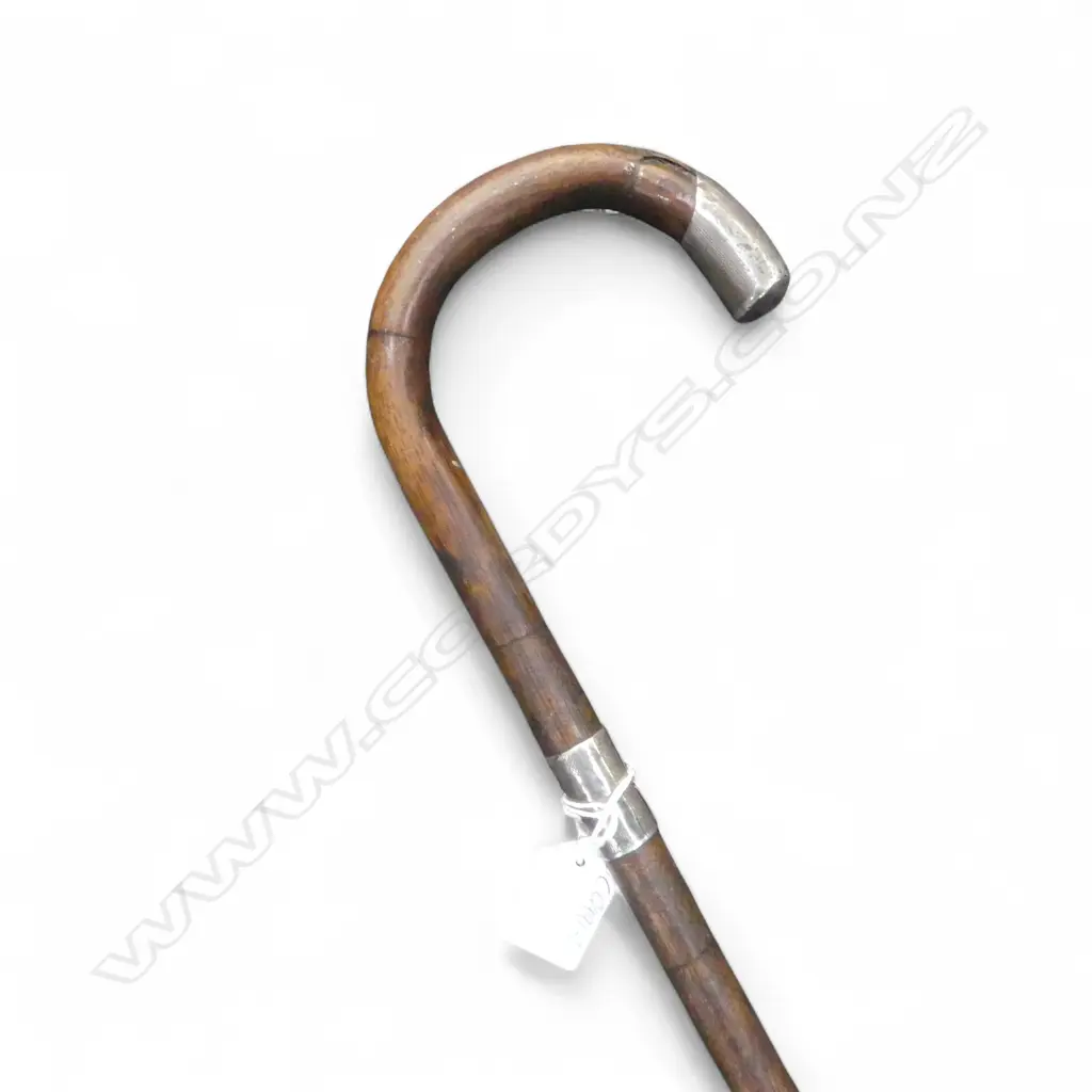 CANE WALKING STICK w. STG SILVER CAP & COLLAR L.840mm Image 1++