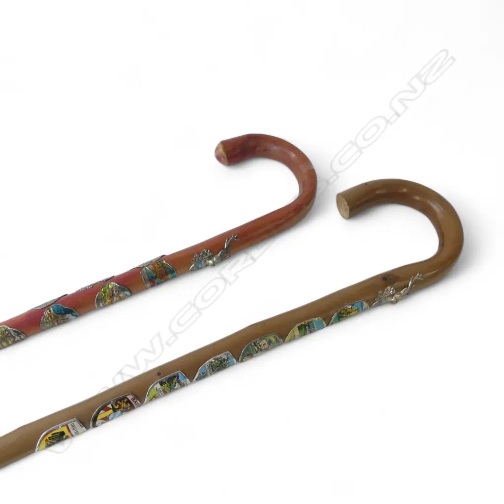 2 WALKING STICKS L.925mm Image 1++