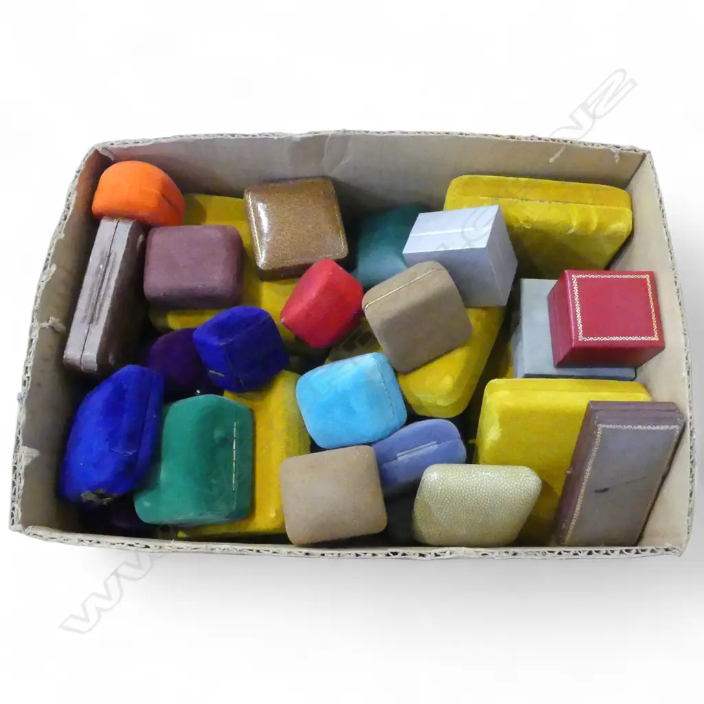 COLLECTION OF JEWELLERY BOXES Image 1++