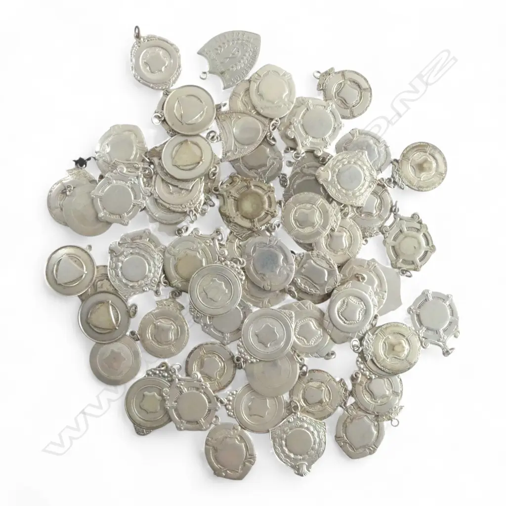SILVER & S/PLATE MEDALS, 500gms Image 1++