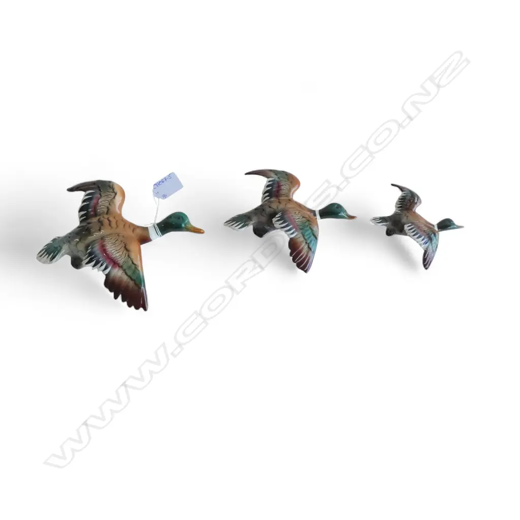 GRADUATED SET OF 3 FLYING WALL DUCKS W.205mm small faults REPAIR TO WING Image 1++