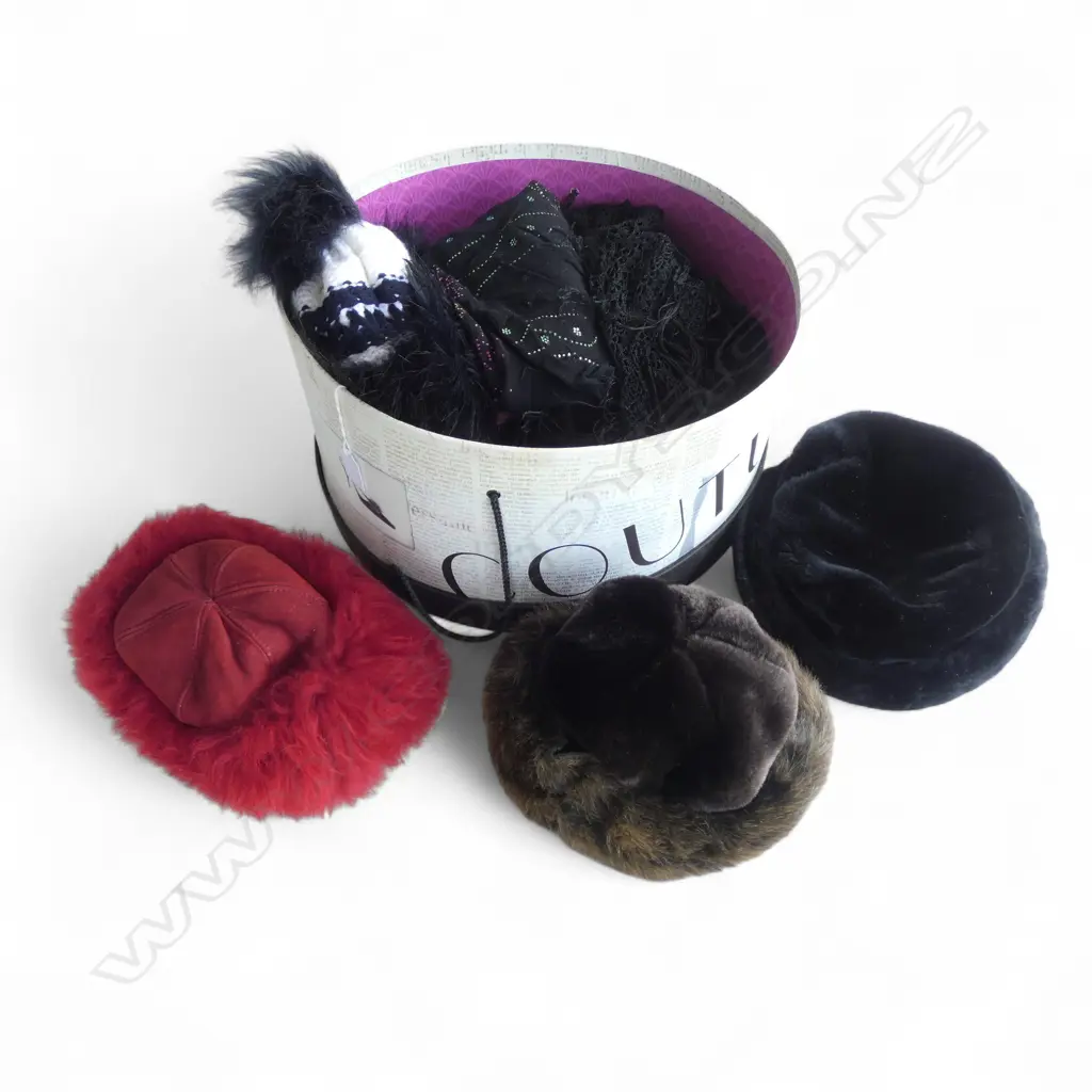 HAT BOX WITH HATS AND SHAWLS Image 1++