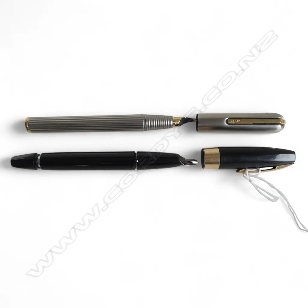 PARKER FOUNTAIN PEN PdAg + LAMY FOUNTAIN PEN w. 14ct NIB Image 1++