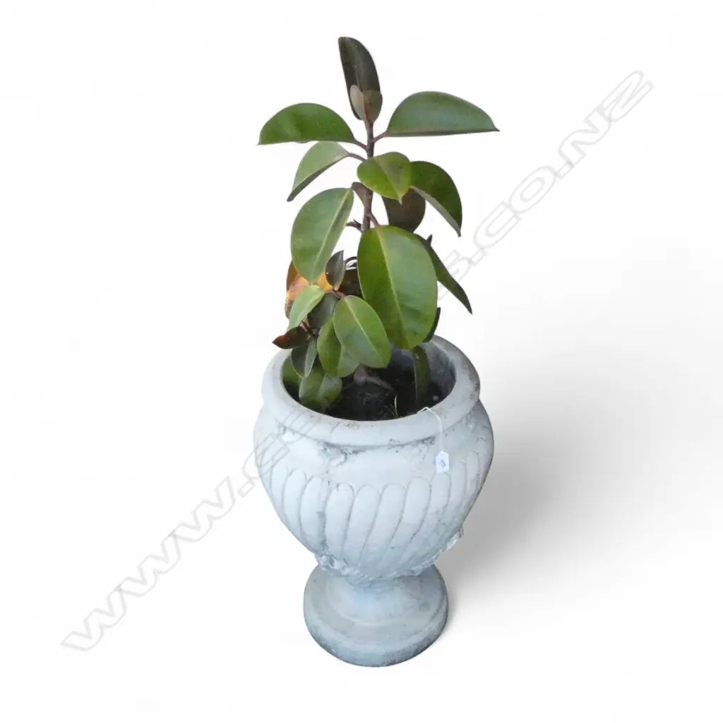 2 CONCRETE GARDEN URNS floral decoration, one planted H.620mm Image 1++