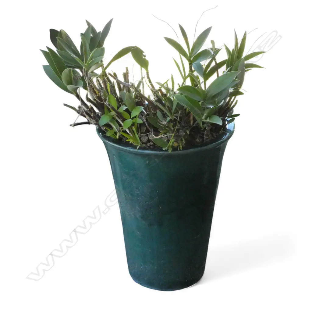 TALL PLANTED GREEN GLAZE GARDEN POT H.540mm Image 1++