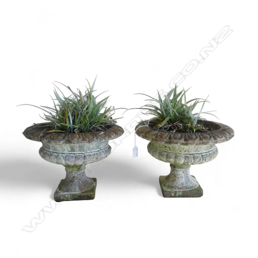 PR COMPOSITE URNS w. ASTELIA PLANTS H.220mm, 310mm dia Image 1++