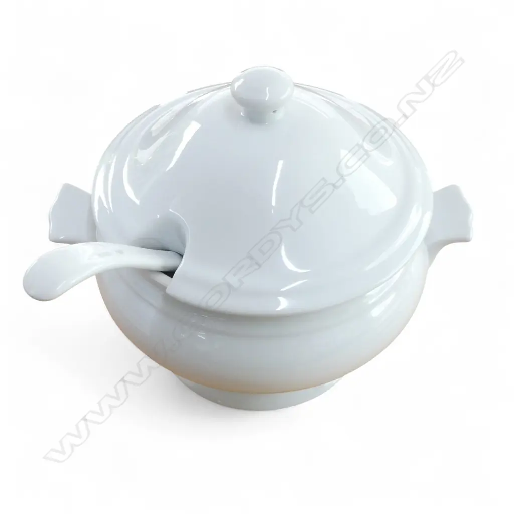 BOXED STEVENS SERVE 3L SOUP TUREEN WITH LADLE Image 1++