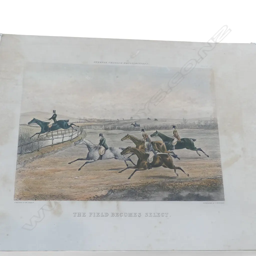 SET 8 VINTAGE STEEPLE CHASE PRINTS reprints of Victorian engravings 260 x 360mm Image 1++
