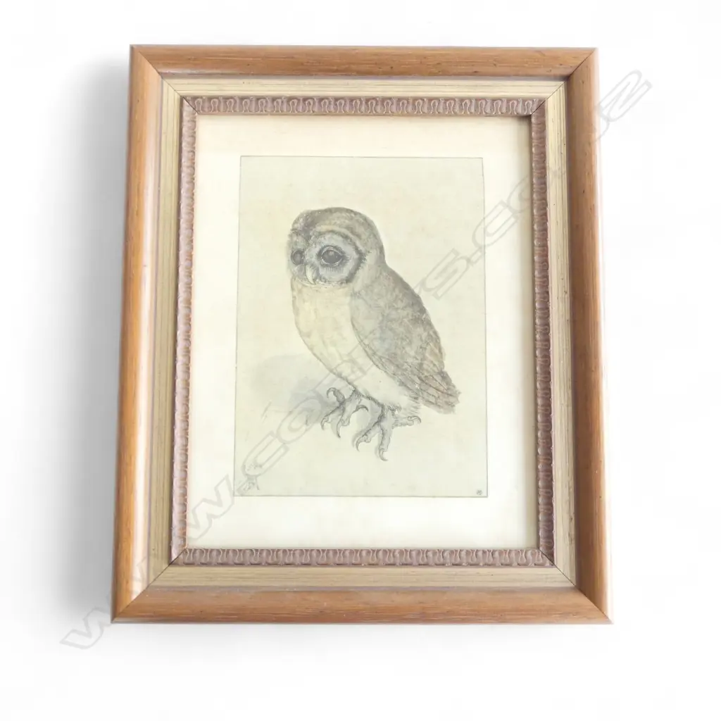 FRAMED OWL ETCHING 240x190mm Image 1++