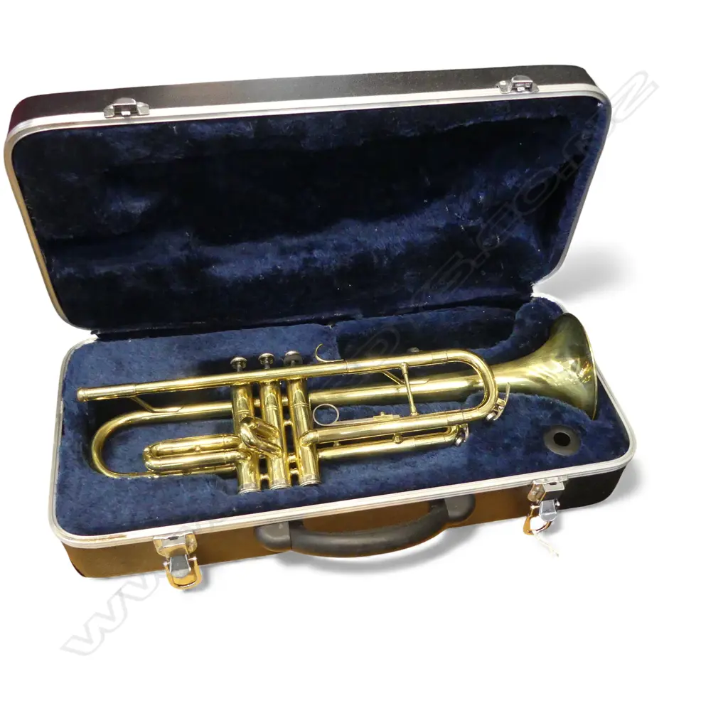 JIAJIA TRUMPET L.470mm, CASED Image 1++